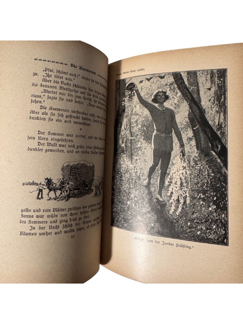 "Mother Nature Tells" By Karl Ewald Hardcover Book German Mutter Natur Erzählt - Picture 6 of 16